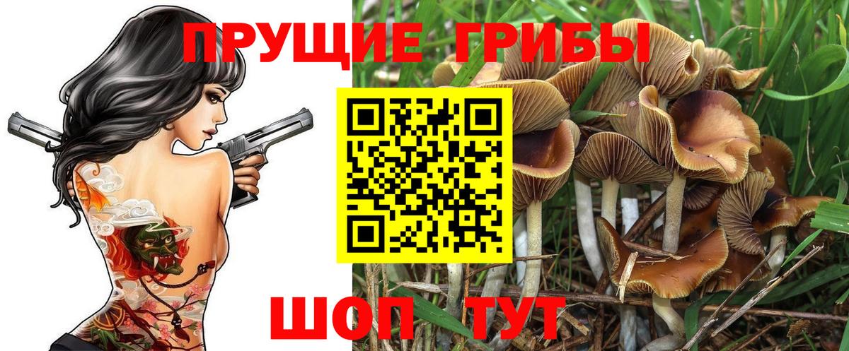 Псилоцибиновые грибы Psilocybine cubensis Воткинск